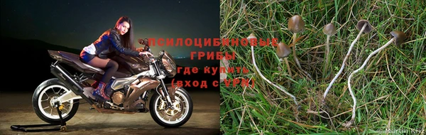 стаф Белая Калитва