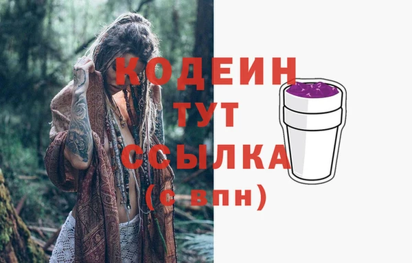 гидра Горняк