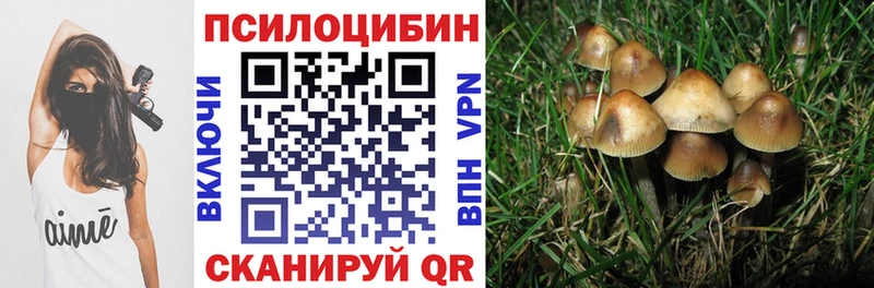 Галлюциногенные грибы MAGIC MUSHROOMS  omg как войти  Ковдор 